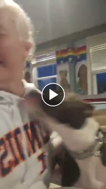 video — Aug 4 2026
