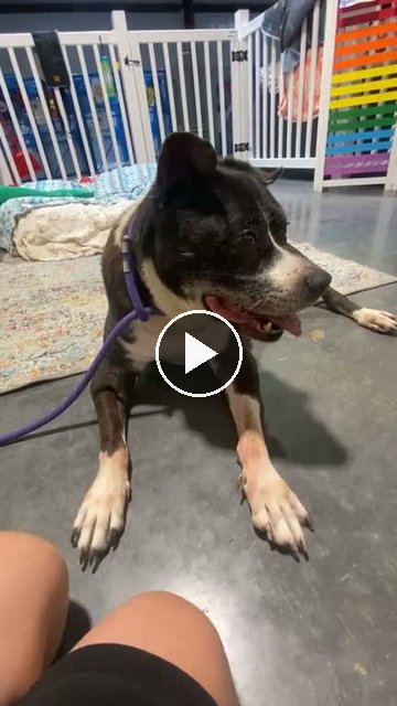 video — Aug 21 2026
