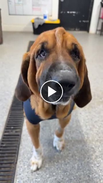 video — Aug 28 2026