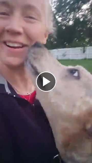 video — Aug 3 2026