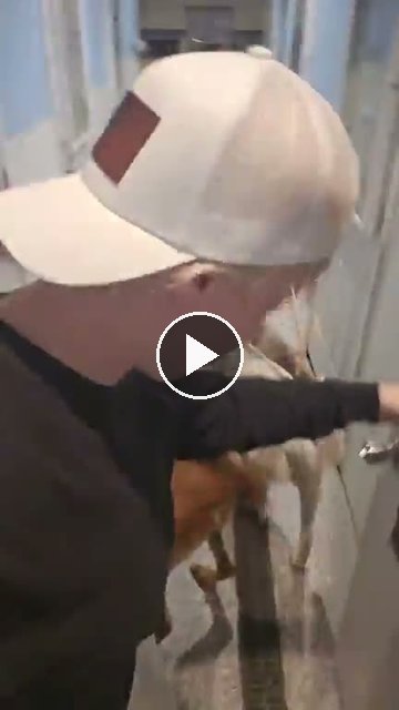 video — Aug 1 2026