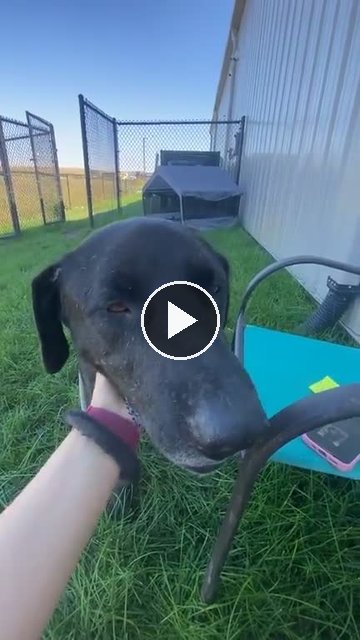 video — Sep 23 2026
