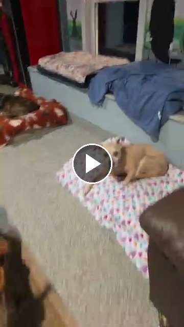 video — Sep 26 2026