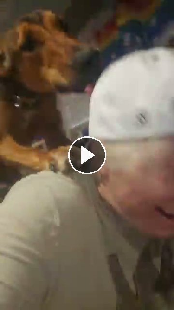 video — Aug 24 2026