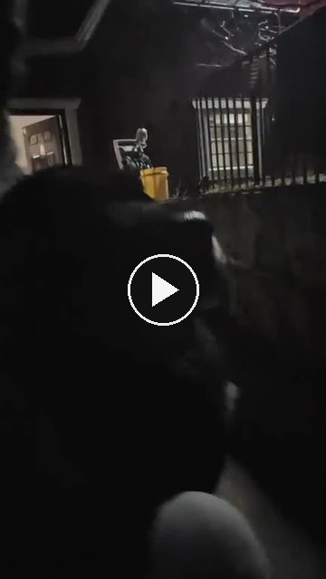 video — Oct 6 2026