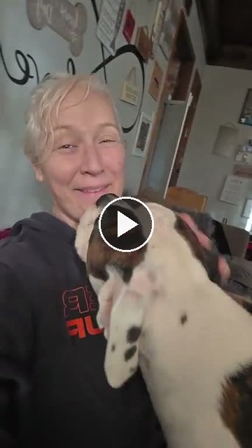 video — Sep 18 2026