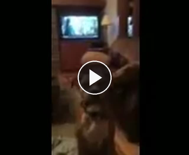 video — Nov 2 2017