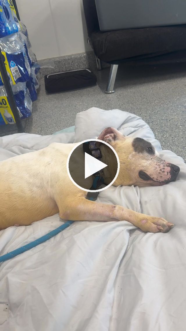 video — Jul 21–23 2025