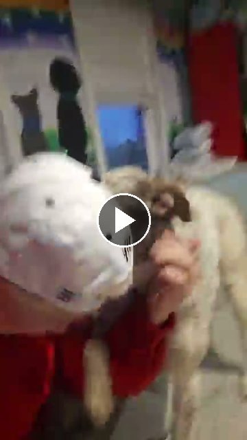 video — Aug 23 2026