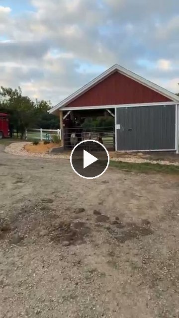 video — Aug 20 2026