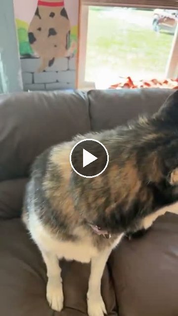 video — Aug 20 2026