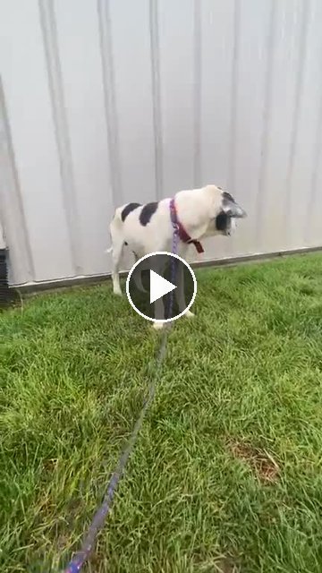 video — Aug 5 2026