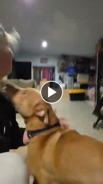 video — Sep 4 2026