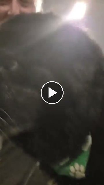 video — Sep 9 2026