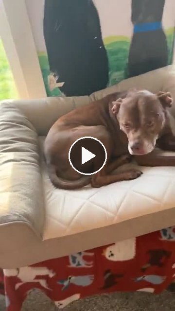video — Sep 16 2026