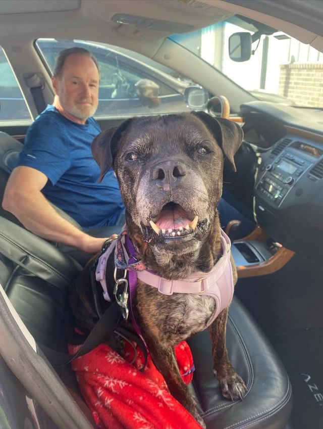 foster announcement — Feb 23–28 2026