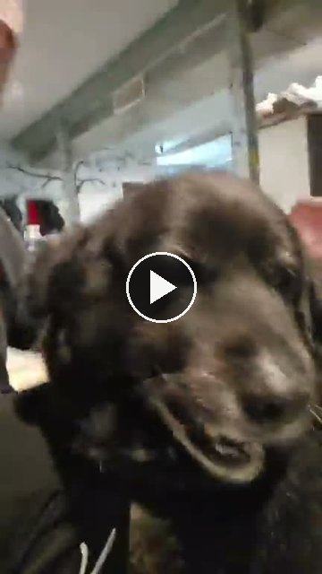 video — Sep 5 2026