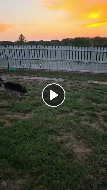 video — Sep 19 2026