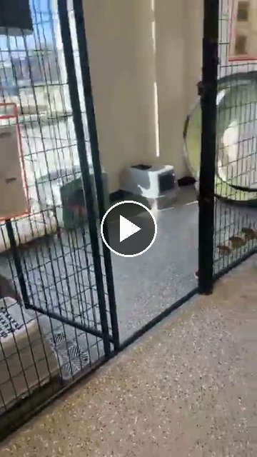 video — Sep 8 2026