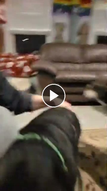 video — Sep 11 2026