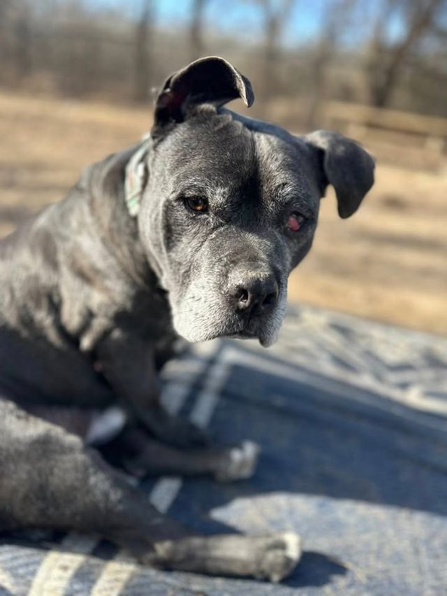 Ozzy — Jul 14–16 2026
