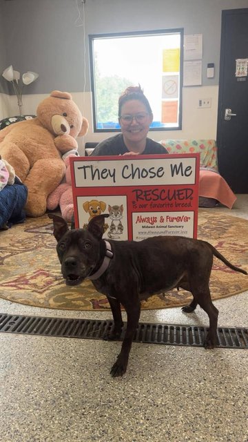 post — Aug 1 2026