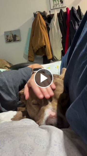 video — Aug 6 2026