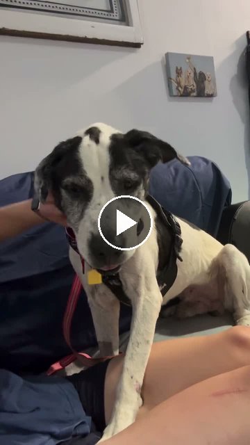 video — Aug 16 2026