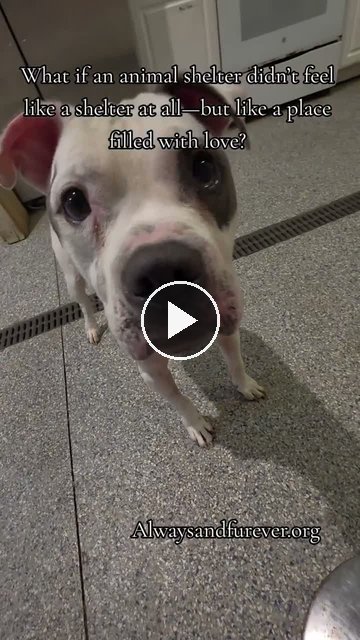 video — Aug 25 2026