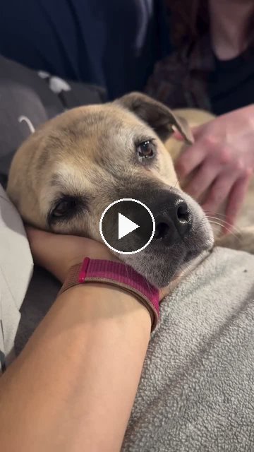 video — Aug 29 2026