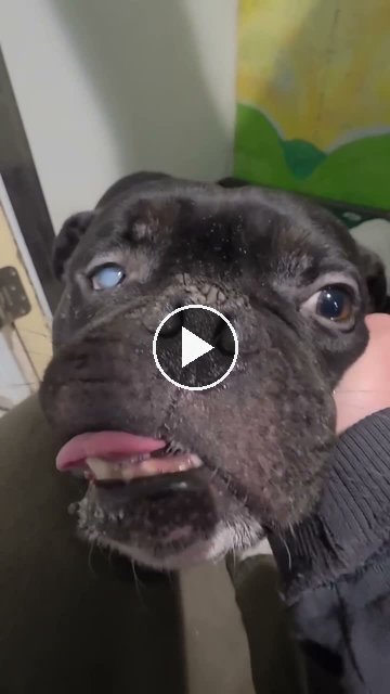 video — Aug 29 2026