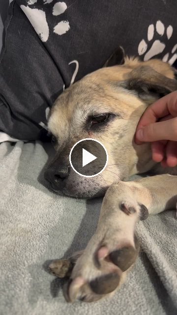 video — Aug 30 2026
