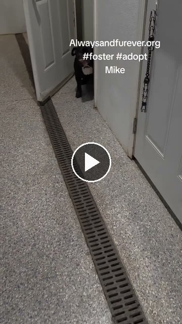 video — Aug 31 2026