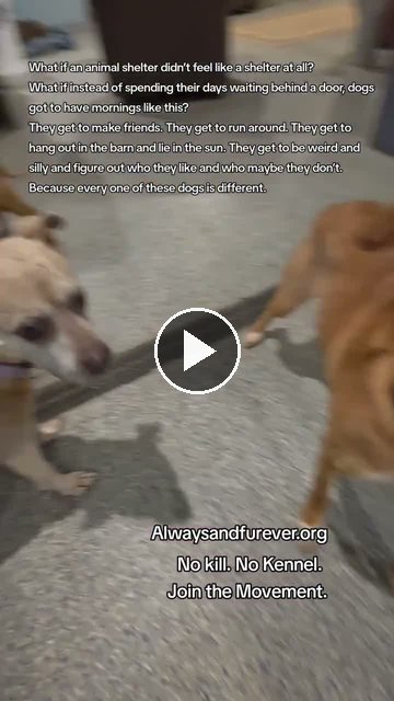 video — Sep 4 2026