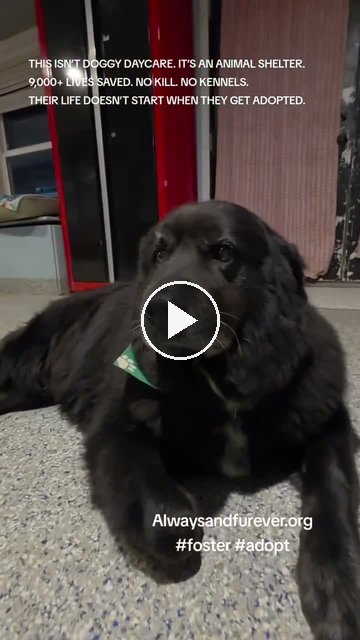 video — Sep 5 2026
