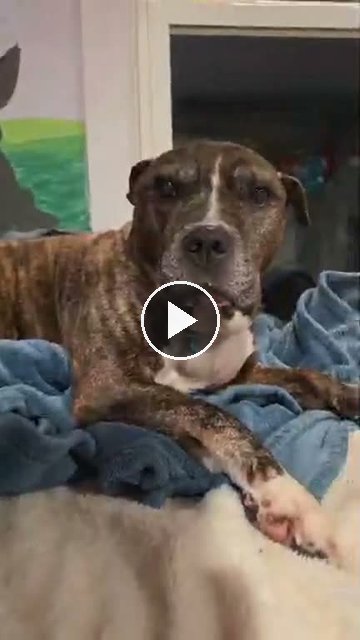 video — Oct 1 2026