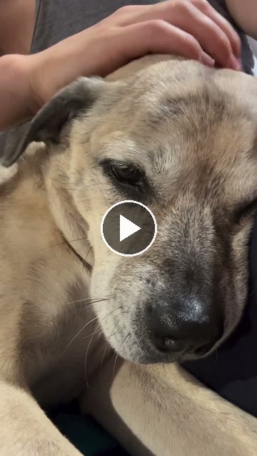 video — Sep 6 2026