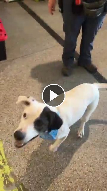 video — Sep 30 2026