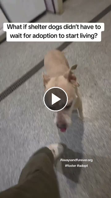 video — Sep 7 2026