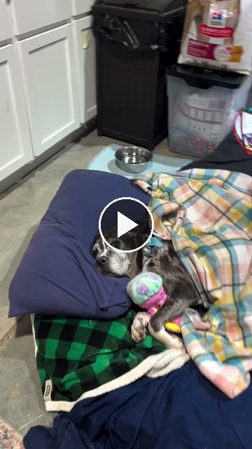 video — Sep 9 2026