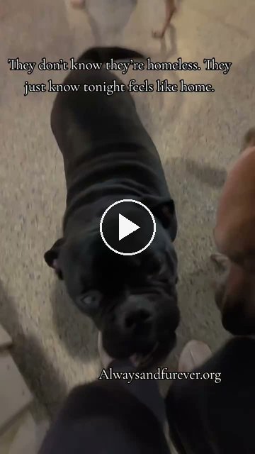 video — Sep 12 2026