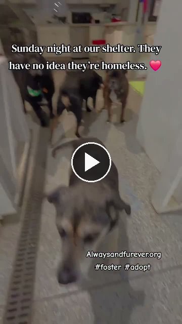 video — Sep 14 2026