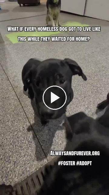 video — Sep 14 2026