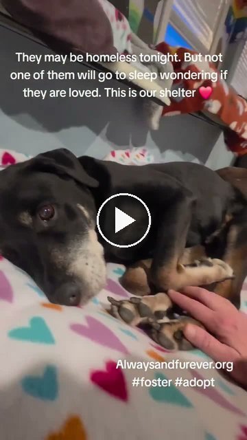video — Sep 15 2026
