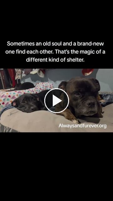 video — Sep 15 2026