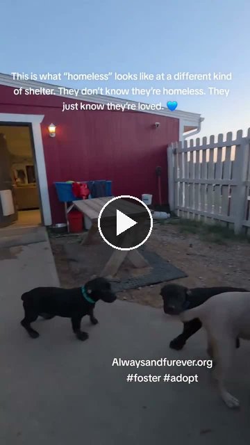 video — Sep 15 2026