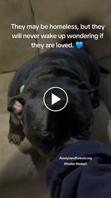 video — Sep 15 2026