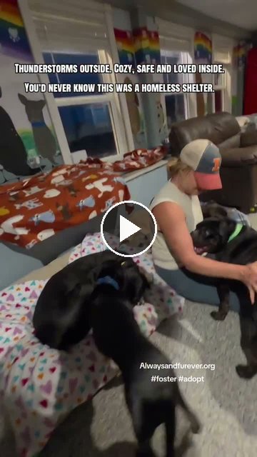 video — Sep 16 2026