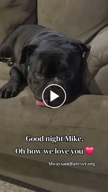 video — Sep 16 2026