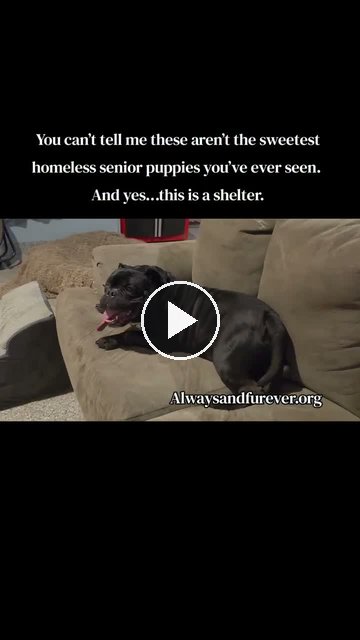 video — Sep 16 2026